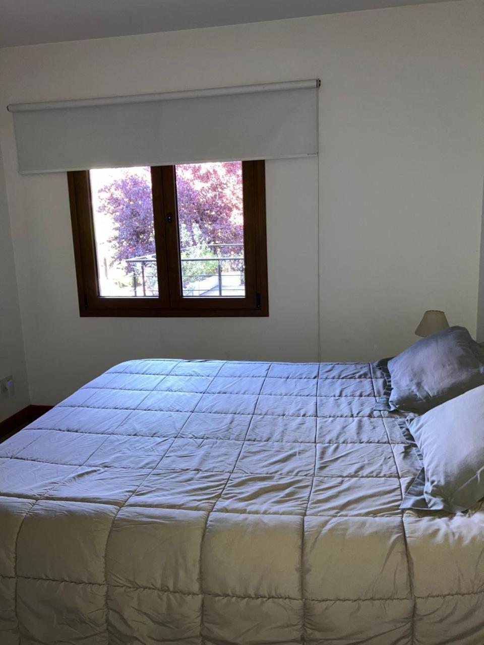 Comodo Departamento Centrico En San Martín de los Andes מראה חיצוני תמונה
